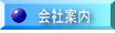 company_information